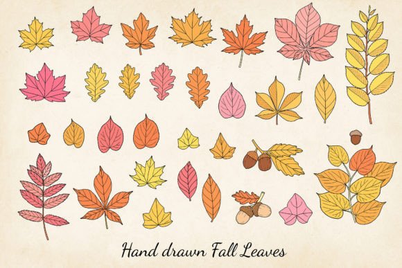 Hand-drawn Autumn Leaves SVG Bundle Graphic Crafts By Paper Art Garden