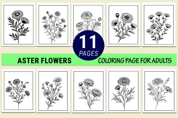 Aster Flower Coloring Pages for Adults Graphic Coloring Pages & Books Adults By GraphicArt