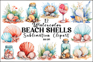 Watercolor Beach Shells Clipart Graphic AI Illustrations By Naznin sultana jui 1