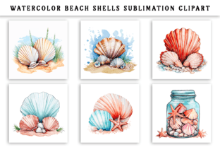 Watercolor Beach Shells Clipart Graphic AI Illustrations By Naznin sultana jui 3
