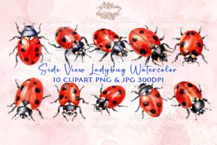 Side View Ladybug Watercolor Clipart Graphic Crafts By Diceenid 1