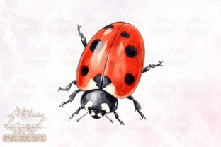 Side View Ladybug Watercolor Clipart Graphic Crafts By Diceenid 11