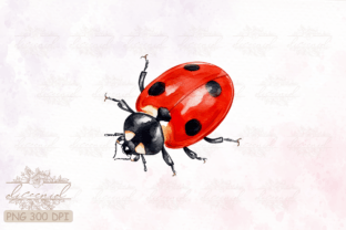 Side View Ladybug Watercolor Clipart Graphic Crafts By Diceenid 2