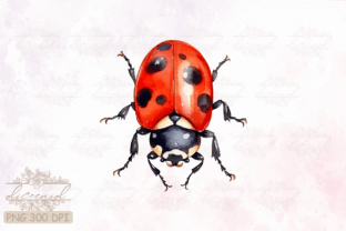 Side View Ladybug Watercolor Clipart Graphic Crafts By Diceenid 3