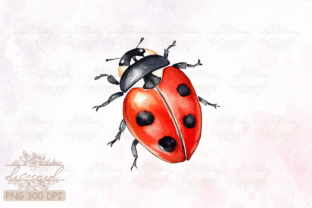 Side View Ladybug Watercolor Clipart Graphic Crafts By Diceenid 4