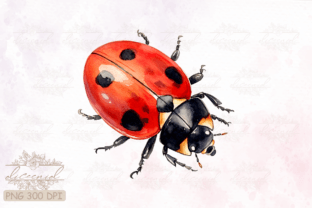 Side View Ladybug Watercolor Clipart Graphic Crafts By Diceenid 6