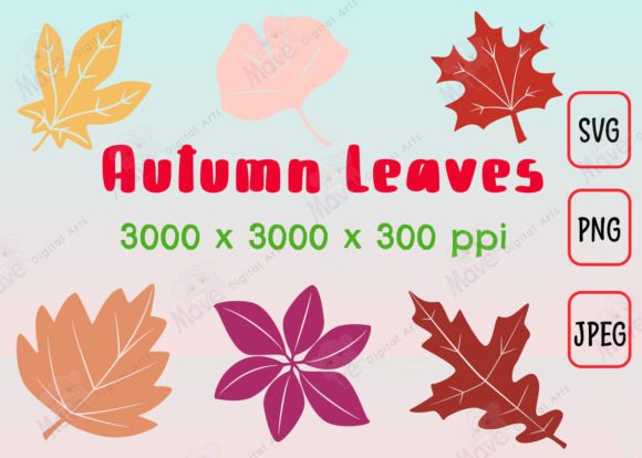 Autumn Leaves Illustration Graphic Illustrations By Mave Digital Arts