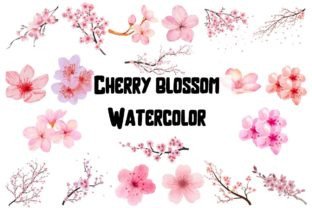 Watercolor Cherry Blossom Clipart Gráfico Ilustraciones Imprimibles Por BigBosss 1