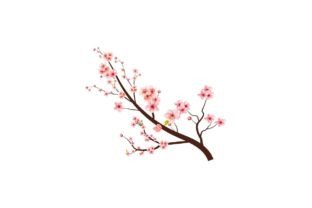 Watercolor Cherry Blossom Clipart Gráfico Ilustraciones Imprimibles Por BigBosss 3