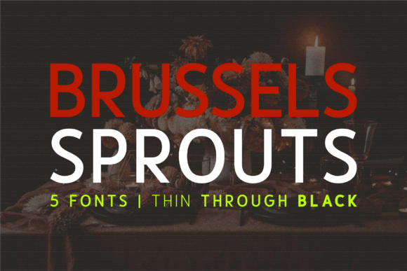 Brussels Sprouts Sans Serif Fonts Font Door Huntype
