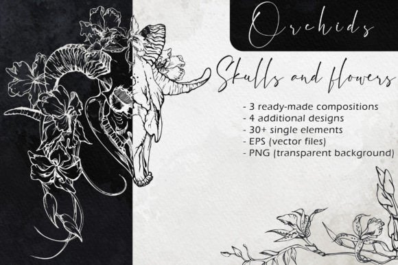 Skulls and Flowers: Orchids Graphic Illustrations By msflaffy