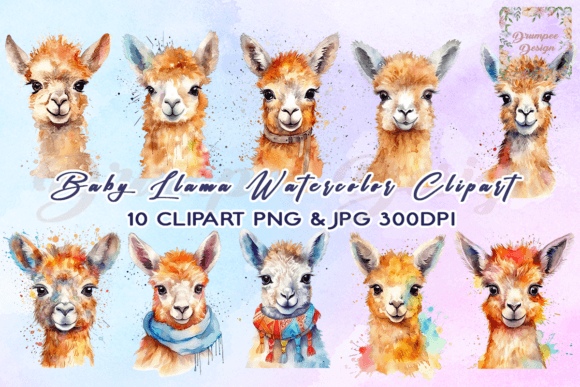 Llama Watercolor Clipart Gráfico Manualidades Por Drumpee Design