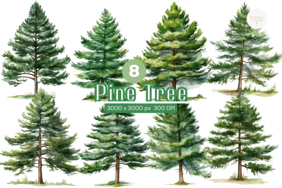 Pine Tree Watercolor Clipart Graphic Illustrations By kennocha748