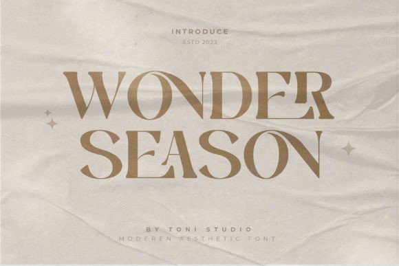Wonder Season Serif Font By ToniStudio