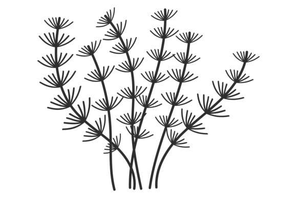 Algae Plant Silhouette. Black Underwater Graphic Illustrations By ladadikart