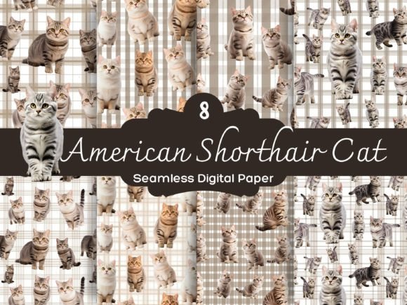 American Shorthair Cat Seamless Afbeelding Papieren Patronen Door Imagination Meaw