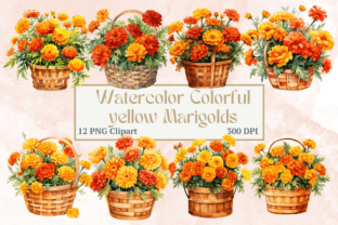 Bushel Basket Full of Vibrant Marigolds Graphic Illustrations By Creative River 1