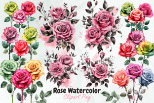 Rose Watercolor Clipart Bundle Grafika Ilustracje do Druku Przez Crafticy 1