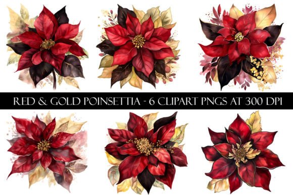 Red and Gold Poinsettia Clipart Graphic Illustrations By Digital Paper Packs