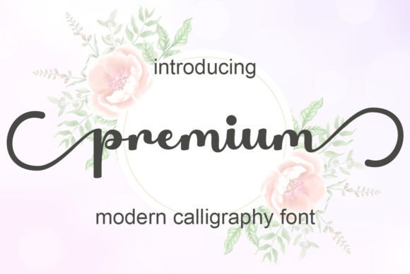 Premium Script & Handwritten Font By cavalera creative