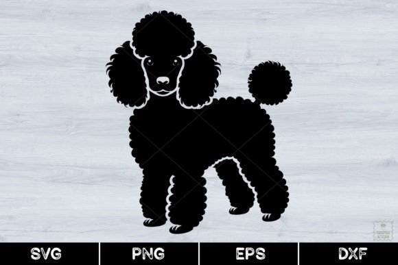 Poodle Silhouette, Cute Poodle, Svg Graphic Illustrations By AnuchaSVG