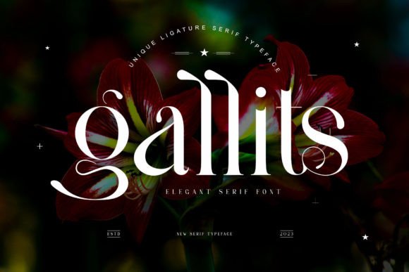 Gallits Serif Font By yaqublekker