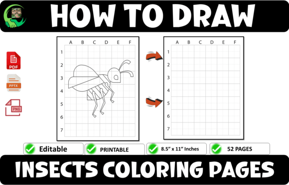 How to Draw Insects Coloring Pages Graphic Coloring Pages & Books By AME⭐⭐⭐