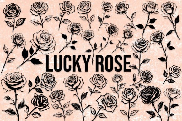 Lucky Rose Fuentes Dingbats Fuente Por MOMAT THIRTYONE