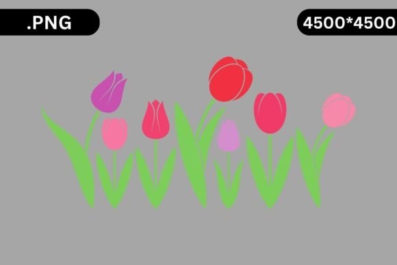Flowers Graphic Illustrations By NyDesign