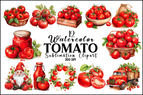 Watercolor Tomato Sublimation Clipart Graphic AI Illustrations By Naznin sultana jui