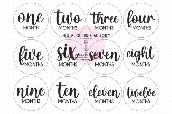 1-12 Baby Milestones Disc Graphic Crafts By Illustrace