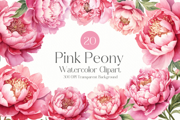 Pink Peony Watercolor Clipart PNG Graphic Illustrations By iStyleMagic