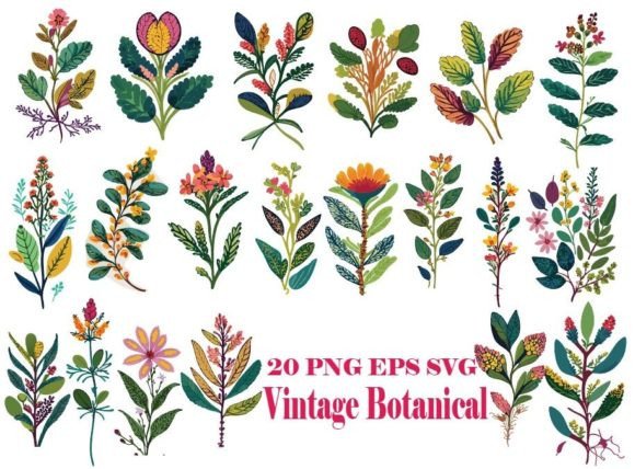 Vintage Botanical Floral Graphic Illustrations By chatno