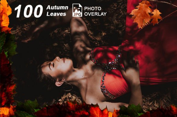 100 Autumn Leaves Photo Overlay PNG Illustration Artisanat Par Jacpot07
