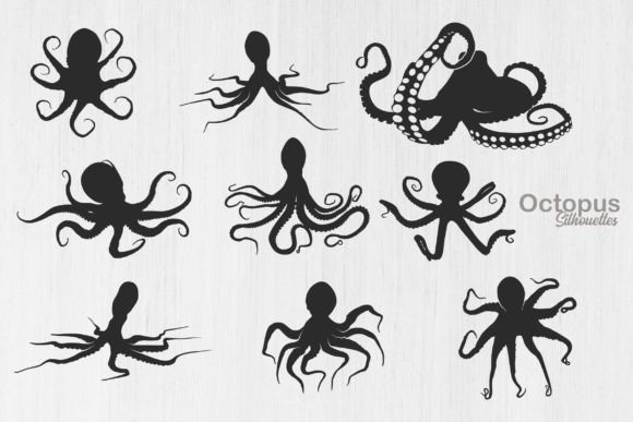 Octopus Silhouette, Octopus SVG Graphic Illustrations By Design_Lands