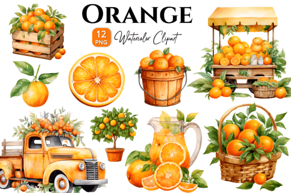 Orange Watercolor Clipart PNG Graphic Illustrations By Danishgraphics