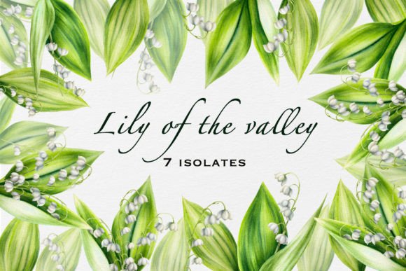 Lily of the Valley Isolates Gráfico Ilustrações para Impressão Por Navenzeles