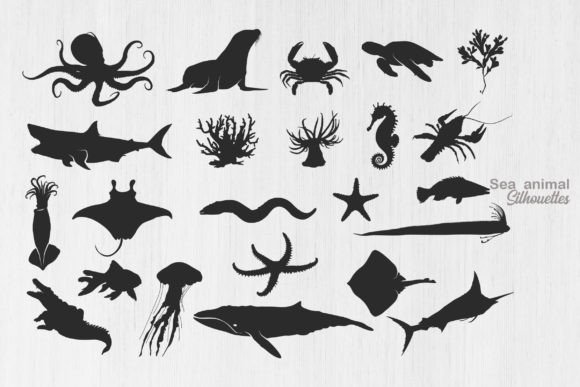 Sea Animal Silhouette, Ocean Animal SVG Illustration Illustrations Imprimables Par Design_Lands