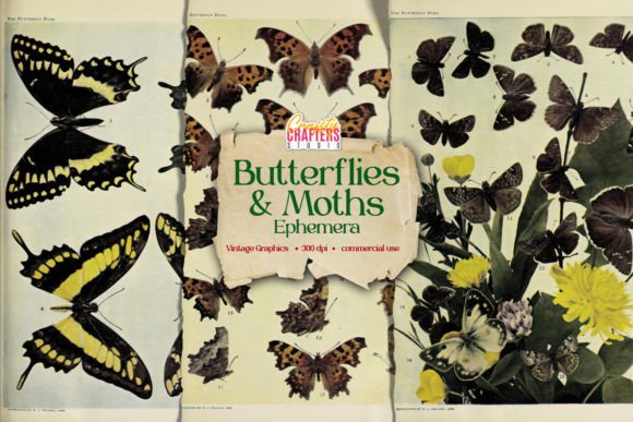 Vintage Butterflies & Moths Ephemera Graphic Print Templates By CraftsyCraftersStudio