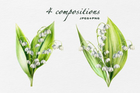 Lily of the Valley Compositions Graphic Illustrations By Navenzeles