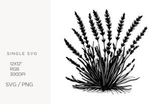 Lavender Flowers, Svg Afbeelding AI transparante PNG's Door biljanacvetanovic
