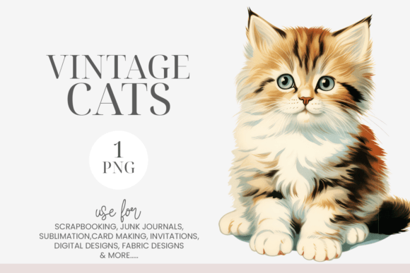 Fluffy Tabby Kitten Vintage Clipart PNG Gráfico Ilustraciones Imprimibles Por Bijou Bay