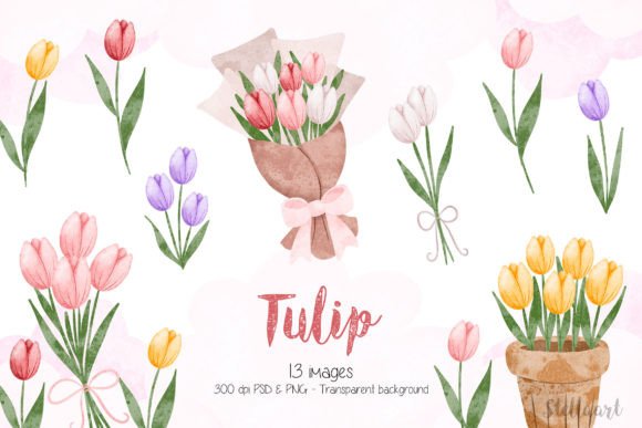 Watercolor Illustration Set of Tulip Graphic Illustrations By Stellaart