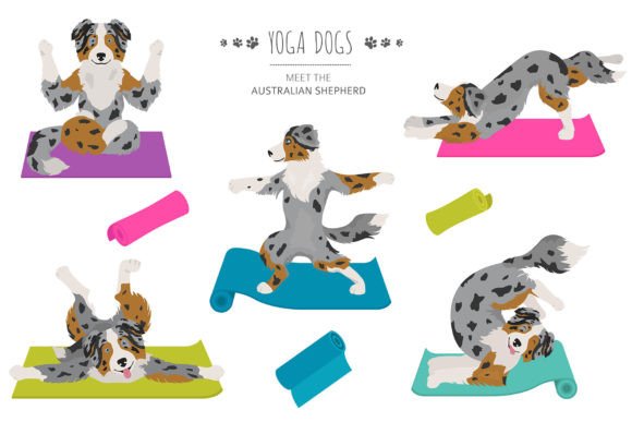 Australian Shepherd Yoga Graphic Illustrations By pet design shop