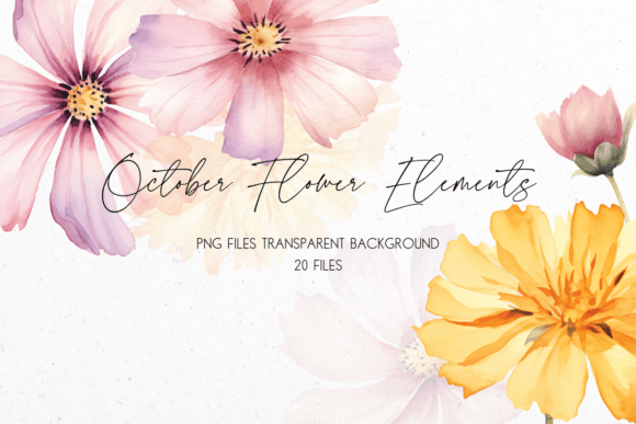 Watercolor October Flower Clipart Graphic AI Transparent PNGs By OctagoisDesigns