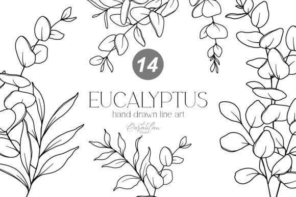 EUCALYPTUS LINE DRAWING, Floral Line Art Graphic Illustrations By CaraulanStore