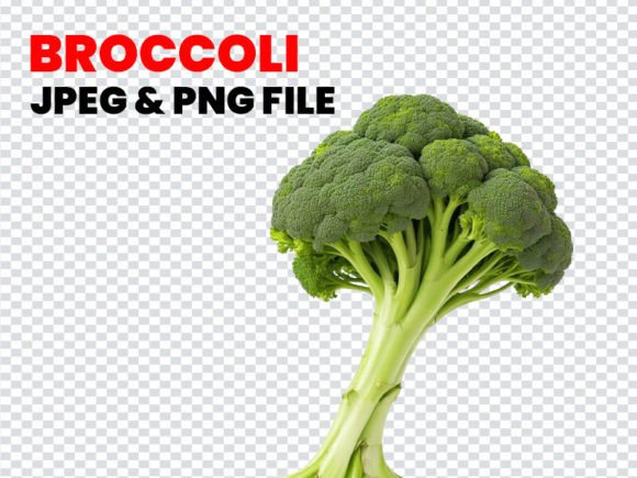 Organic Broccoli Vegetable #18 Gráfico Generadores de Escena Por Design_love