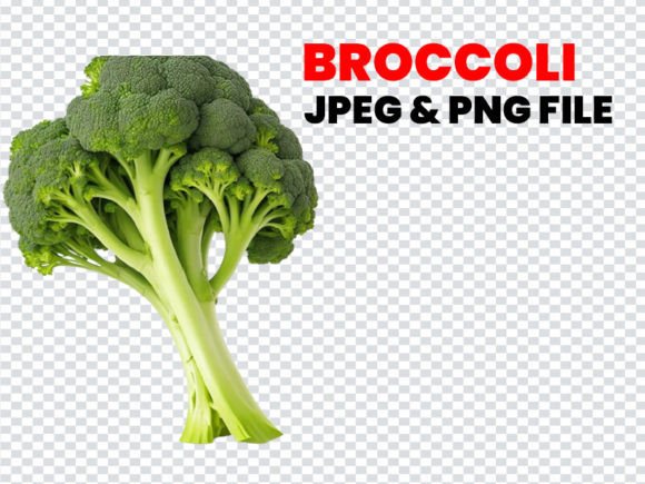 Organic Broccoli Vegetable #19 Gráfico Generadores de Escena Por Design_love