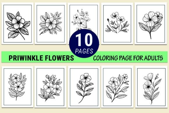 Periwinkle Flower Coloring Pages Graphic Coloring Pages & Books Adults By GraphicArt