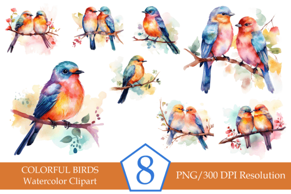 Colorful Birds, Sublimation Bundle Illustration Illustrations Imprimables Par DesignedByAndreaD